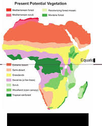 This story map was created with the story map journal application in arcgis online. If You Were To Fold A Map Of Africa In Half Along The Equator What Do You Notice About The Similar Brainly Com