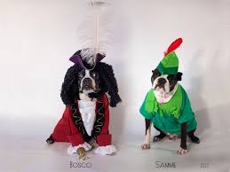 Boston Terrier Dressed In Costumes Captain Hook And Peter Pan In Handmade Dog Costumes For Halloween Bosco And Sammie A Pet Costumes Dog Costumes Dog Costume
