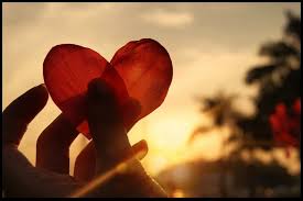 Resultado de imagem para vamos falar de amor