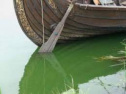Viking Ships Were Steered With A Steering Oar At The Right Side Of The Stern Of The Ship Because More People Are Right Ha Viking Ship Viking Longship Longship