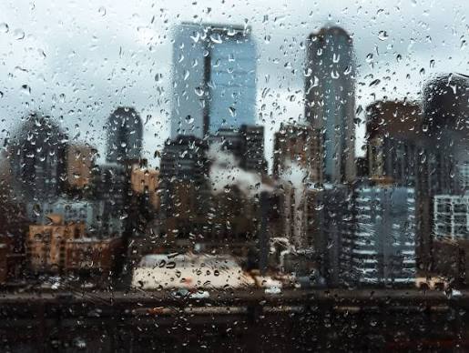 2,100+ Seattle Rain Stock Photos, Pictures & Royalty-Free Images - iStock
