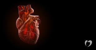 Sometimes myocarditis can result from a. Myocarditis Causes Symptoms And Treatment Oklahoma Heart Hospital