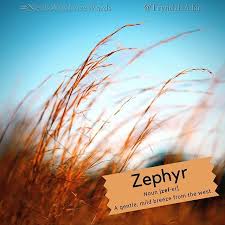 Zephyr Nerdswholovewords Wordoftheday Photo By Caseylee On Unsplash Noun Zef Er Definition A Gentle Mild Word Of The Day Words Matter Cool Words
