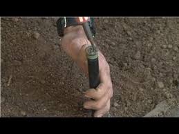 Check spelling or type a new query. Using Soil How Do I Get Rid Of Mold In Soil Youtube