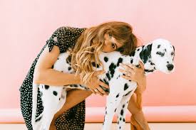 Unfortunately, pet hair clings to our clothing for dear life. How To Remove Pet Hair From Clothes Dependable Cleaners