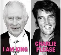 Chryssa Kanellakis-Reimer