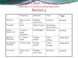 Fitness Project Criteria This Sheet Will Guide Your Work On