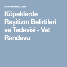 Kopeklerde Rasitizm Belirtileri Ve Tedavisi Vet Randevu Kopek Veterinerler