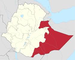 Sonsaf holds seminar for local observers across somaliland. Fafan Zone Wikiwand
