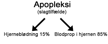 Anders fabricius hansen musik og tekst: Hjerneblodning Apopleksi