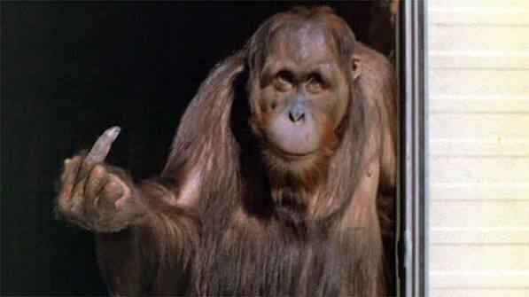 Every Which Way but Loose (1978)