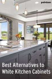 Best Alternatives To White Kitchen Cabinets In 2020 White Kitchen Cabinets Kitchen Cabinets White Kitchen