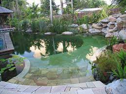 Chemical Free Natural Swimming Pools Australia Eco Citizen Natural Swimming Pools Natural Pool Natural Swimming Ponds