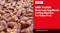 AMD® LG Series: #Datesfruit Sorting with AI-based Sorting Machine