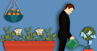 These 10 fast growing plants from bunnings warehouse will make you help decide which quick growing tree to plant around your fence line for privacy. These Are The 10 Most Profitable Trees To Grow In India For A Farming Business Income Learner