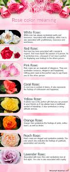 Rose is the color halfway between red and magenta on the hsv color wheel, also known as the rgb color wheel, on which it is at hue angle of 330 degrees. Dgreetings On Twitter The Rose The Queen Among Flowers Comes In A Variety Of Colours What Makes It Even More Intriguing Is The Fact That Each Shade Of The Rose Is
