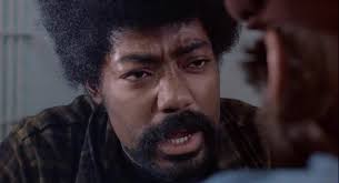 He's a TV star. Man, that's Frank Renda. Yeah, I saw him playthe accordion 