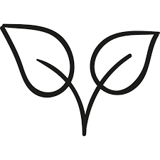 Image result for Crepidomanes inopinatum