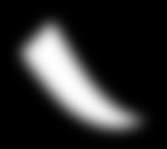 東 京 都 立 西 高 等 学 校 卓 球 部 周 年 部 史