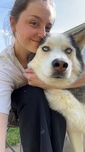 Red and white husky missing in Elkhart area