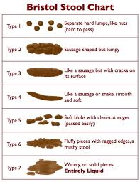 Where On The Bristol Stool Chart Does Your Ibs Sit