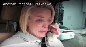 hi I'll never be the same again // underneath the sycamore tree book review 