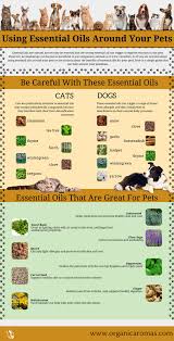 Some essential oils are safe for cats, while others aren't. Using Essential Oils Around Your Pets Organic Aromas