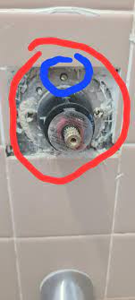 Should I remove the plate behind the black mixer cup? : rPlumbing