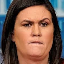 Philip Cortese's Instagram, Twitter & Facebook