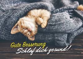 48 Kostenlose Gute Besserung Bilder ➤ coole profilbilder für whatsapp easy zum download? 48 kostenlose gute besserung bilder