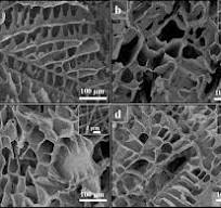 A tailored polylactic acid/polycaprolactone biodegradable ...