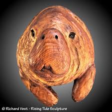 Manatee Bust Wall Sculpture Hand Carved Made to Order Alder Wood Tung Oil  Finish Indoor Display Only for Home or Office Decor