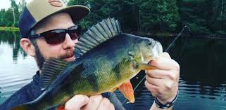 Perch Pro teams 2017 (English)