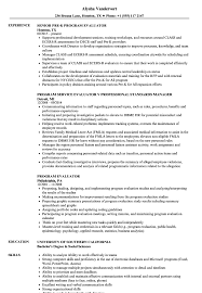 program evaluator resume samples
