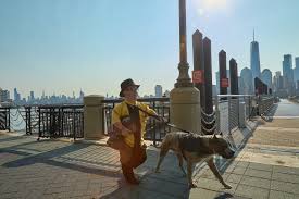 Maybe you would like to learn more about one of these? Top 10 Off Leash Dog Parks In Brooklyn