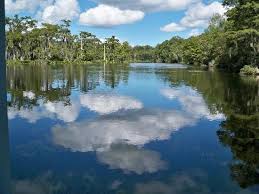 This is one of the world's largest and deepest freshwater springs. Pin On Travel