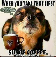 Pin By Rose Lopez On It S Coffee O Clock Somewhere Coffee Quotes Funny Coffee Humor Coffee Quotes