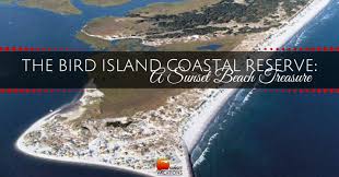 Check spelling or type a new query. The Bird Island Coastal Reserve A Sunset Beach Treasure
