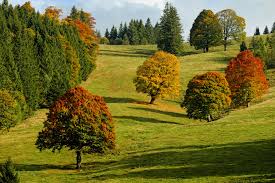September 22 marks the start of fall! Das Marchen Vom Zaudernden Monat September Elkes Kindergeschichten