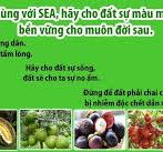 Mã số N1170: Chế phẩm sinh học cải tạo đất SEA - Mảnh ghép ...