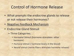 Endocrine System Ppt Download