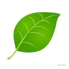 Green applelove story 安室奈美恵ミュージック・アワー ポルノグ. å„ªã‚ŒãŸ è'‰ ã‚¤ãƒ©ã‚¹ãƒˆ ãƒ•ãƒªãƒ¼ç´ æ ã‚¤ãƒ©ã‚¹ãƒˆ å†™çœŸ