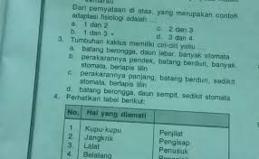 Remen basa jawi 5 kanggo sd mi. Jawaban Uji Kompetensi Hal 47 Ipa Kelas 9 Dunia Sosial Cute766