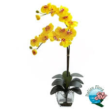 Siete alla ricerca dei fiori giusti da regalare in occasione di un compleanno? Fiori Per Compleanno Consegna A Domicilio