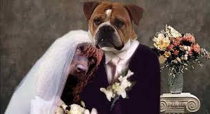 Wir zeigen euch beispiele für mögliche familiennamen, eine checkliste für die wichtigsten namensänderungen nach der namensänderung zur hochzeit. Psst Wie Deine Videobotschaft Zum Highlight Jeder Hochzeit Wird Anleitung