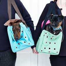 Epingle Sur Sac De Transport Pour Chien