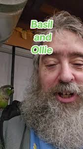 Ollie Bird