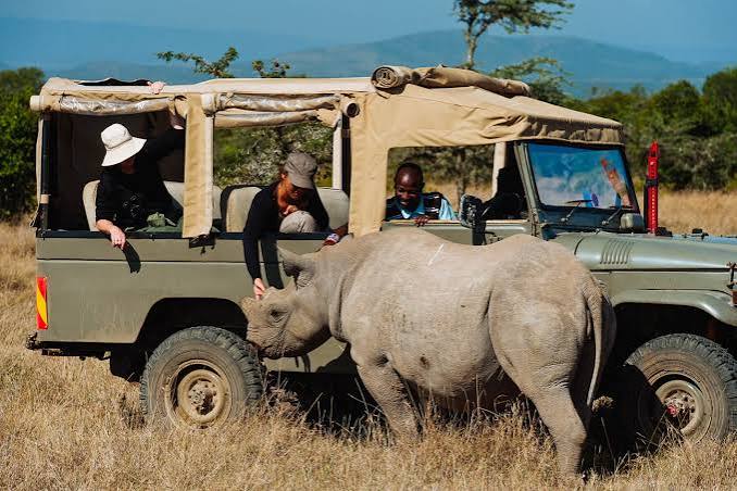 8 Days Northern Kenya and Rhino Safari