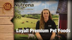 Dry food ( 9 ) wet food ( 13 ) health condition. Nutrena Loyall Pet Food Youtube
