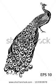 Multiple sizes and related images are all free on clker.com. Decorative Peacock Drawings Decorative Peacock Black And White Stock Vector 103383878 Peacock Drawing Black And White Peacock